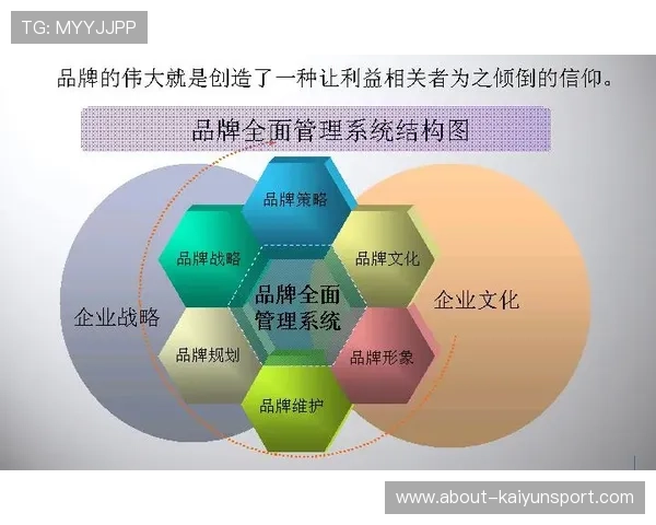 打造独特品牌文化：开云品牌形象塑造中的文化元素应用分析